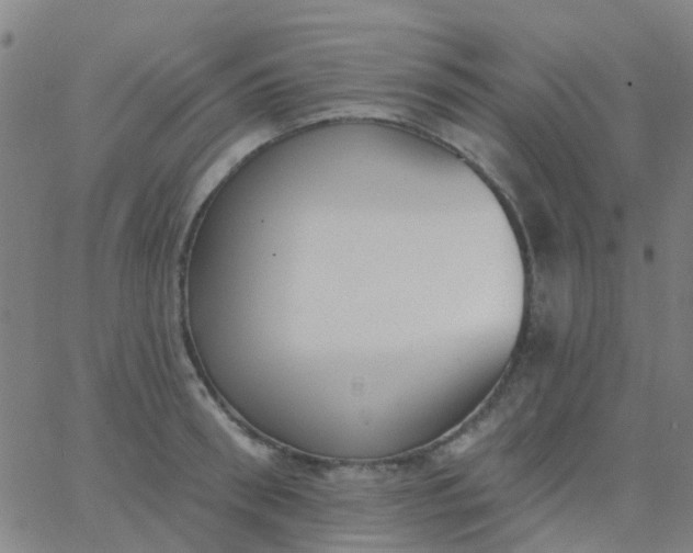 X0000062840898200601272013