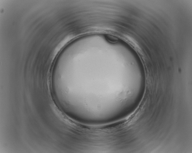 X0000062840899200601272013