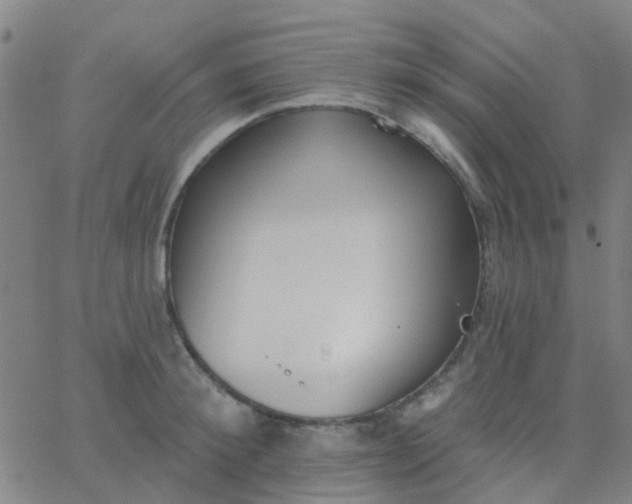 X0000062840900200601272013