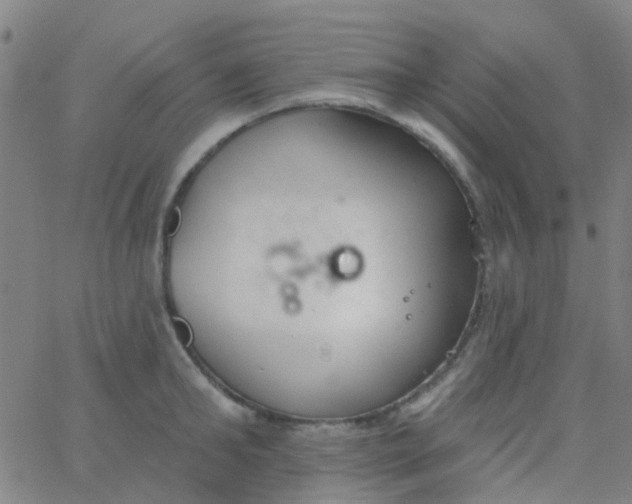 X0000062840902200601272013