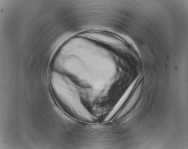 X0000062840903200601272013