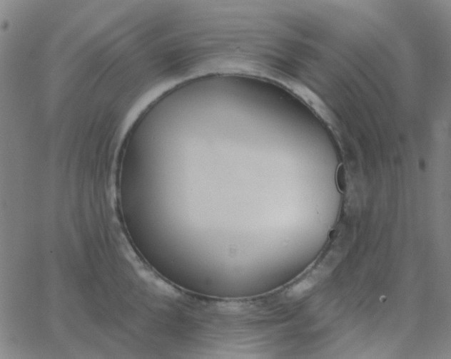 X0000062840904200601272013