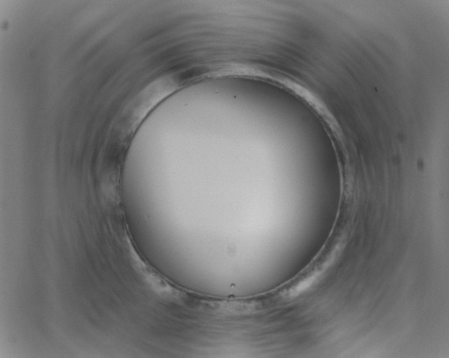 X0000062840905200601272013