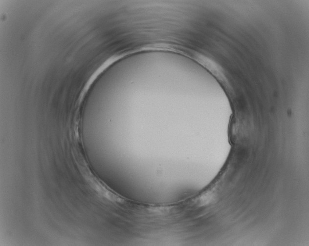 X0000062840908200601272013