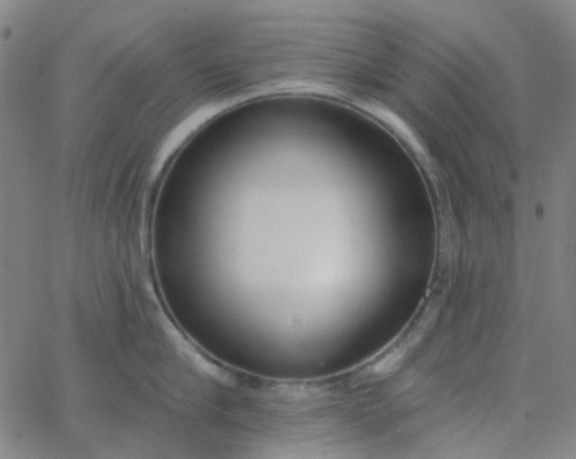 X0000062840910200601272013