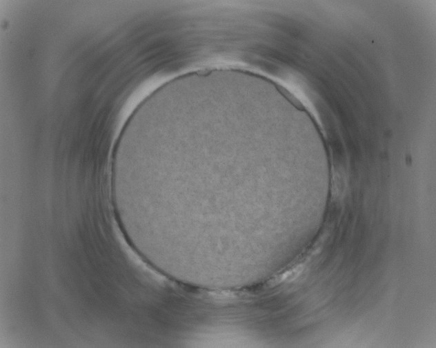 X0000062840911200601272013