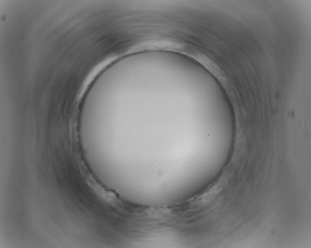 X0000062840912200601272013