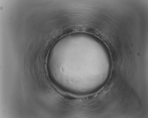 X0000062840913200601272012