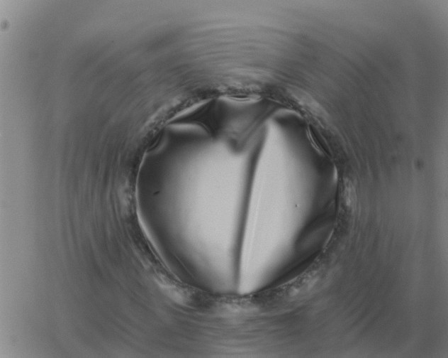 X0000062840915200601272012