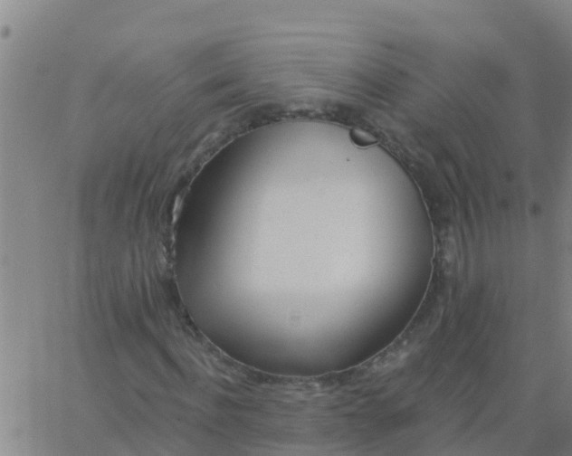 X0000062840916200601272012