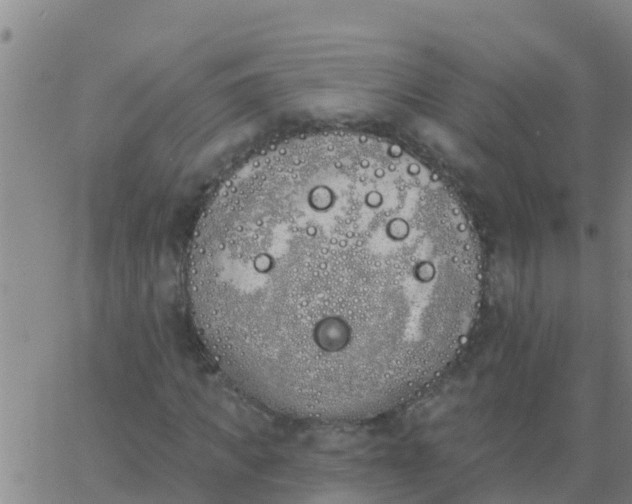 X0000062840917200601272012