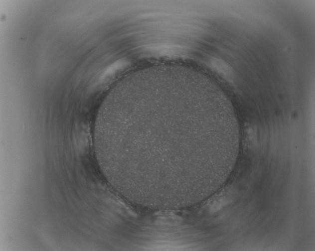 X0000062840918200601272012