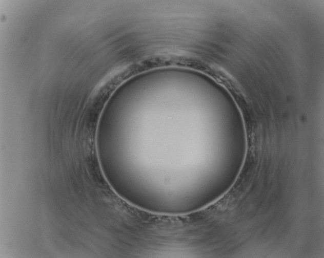 X0000062840919200601272012