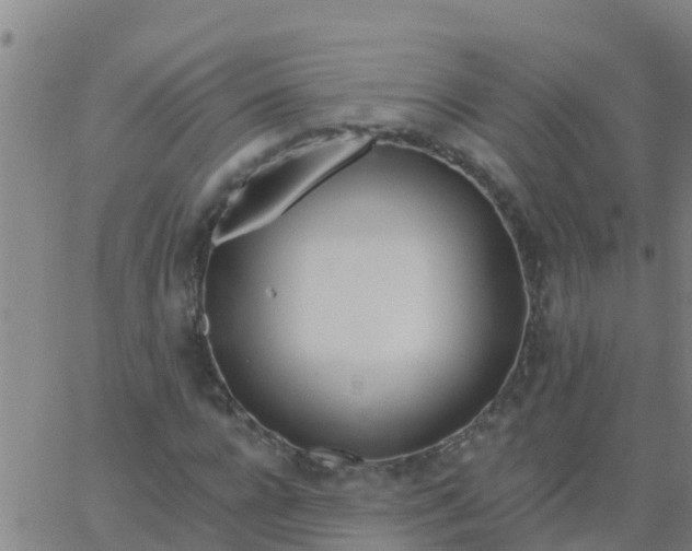 X0000062840920200601272012