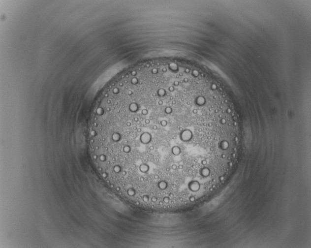 X0000062840921200601272012