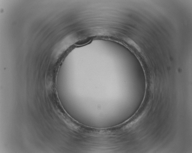 X0000062840922200601272012