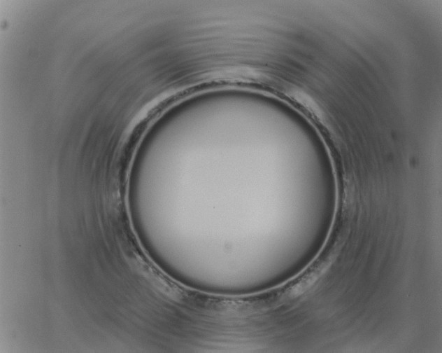 X0000062840923200601272012