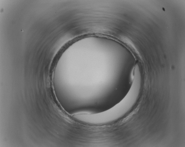 X0000062840924200601272012