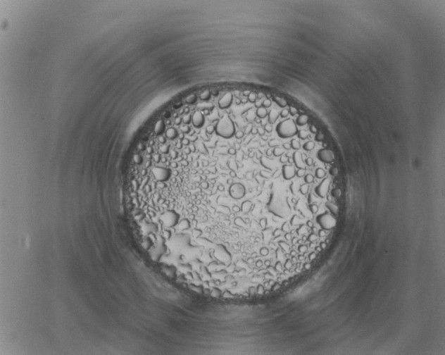 X0000062840925200601272012