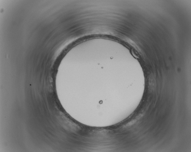 X0000062840926200601272012