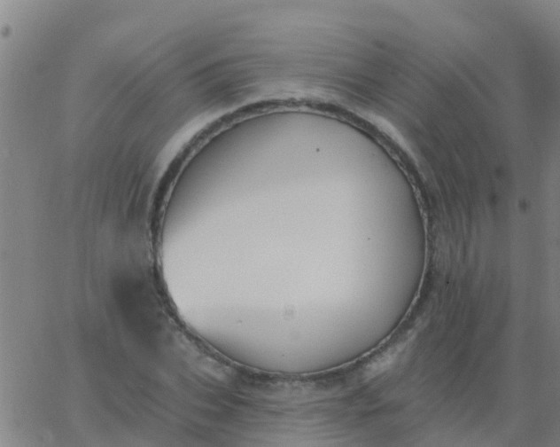 X0000062840927200601272012