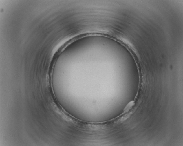 X0000062840928200601272012