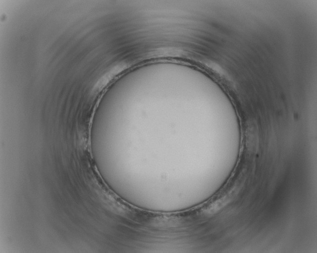 X0000062840929200601272012