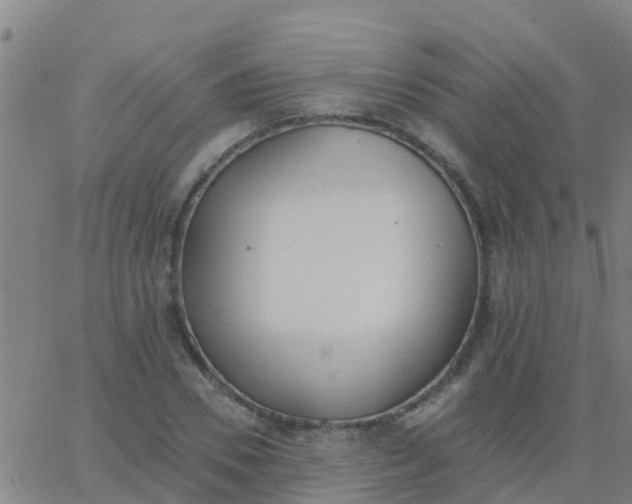 X0000062840930200601272012