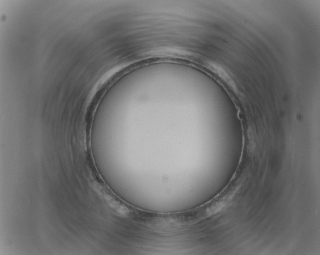 X0000062840931200601272012