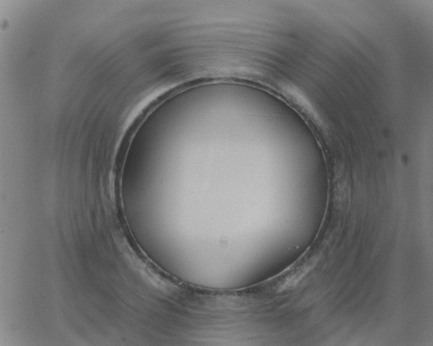 X0000062840932200601272012