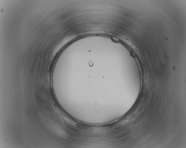 X0000062840933200601272012