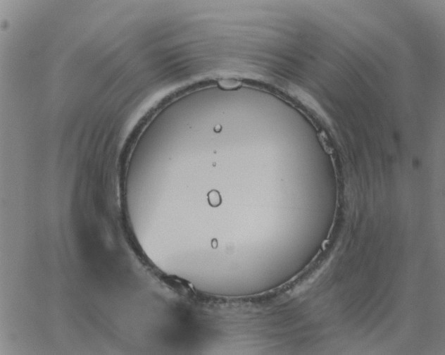 X0000062840934200601272012