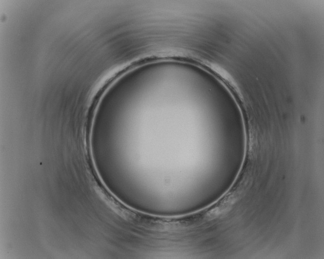 X0000062840935200601272012