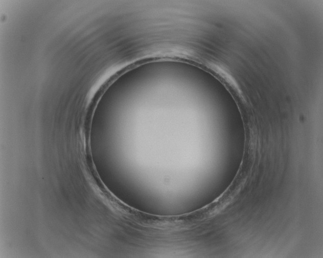 X0000062840936200601272012