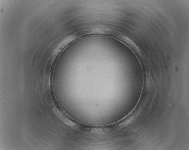 X0000062840938200601272013