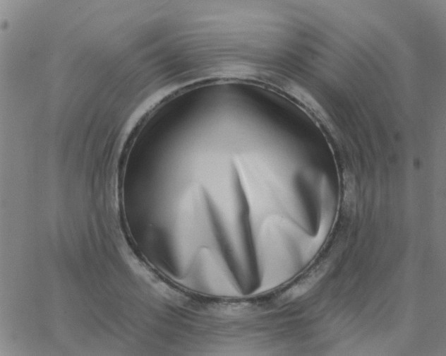 X0000062840939200601272013