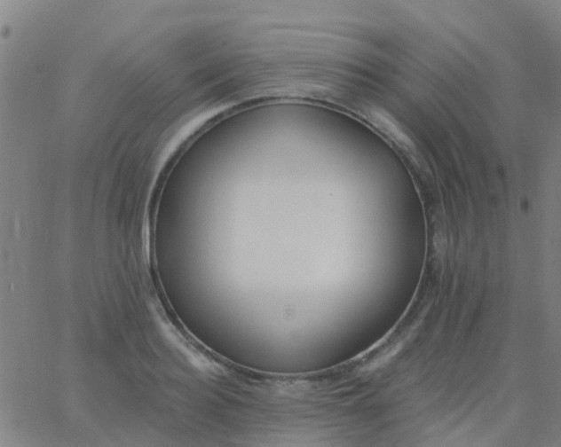 X0000062840940200601272013