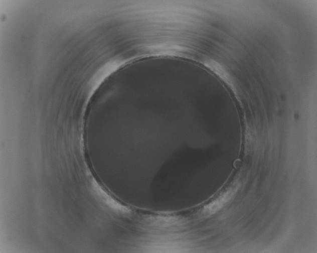 X0000062840941200601272013