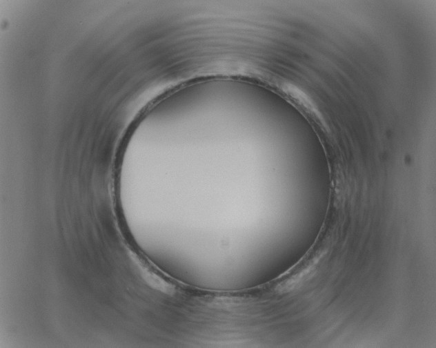 X0000062840942200601272013