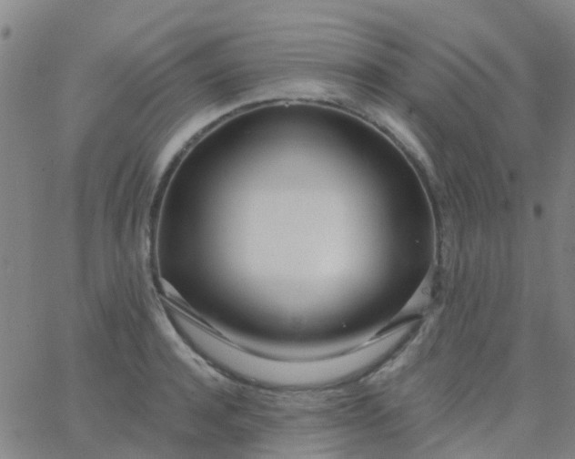 X0000062840944200601272013