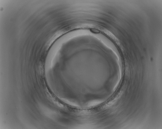 X0000062840945200601272013