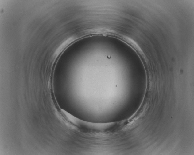 X0000062840946200601272013