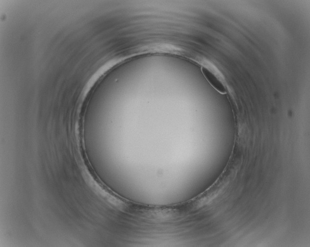 X0000062840947200601272013