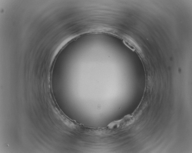 X0000062840948200601272013