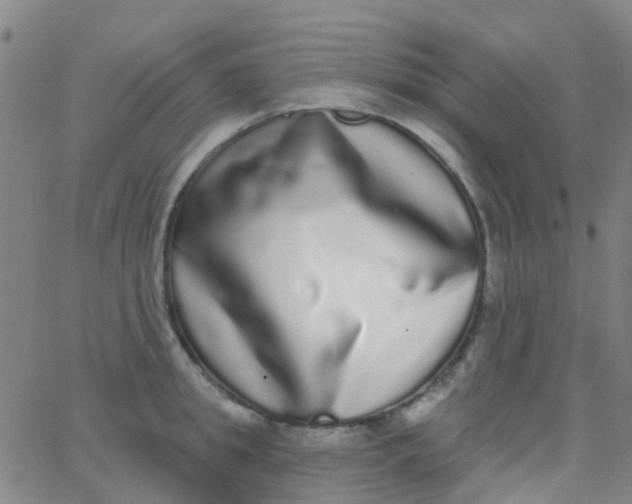 X0000062840949200601272013