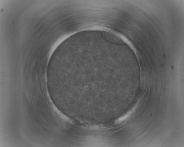 X0000062840951200601272013