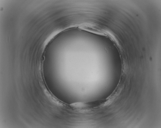 X0000062840952200601272013