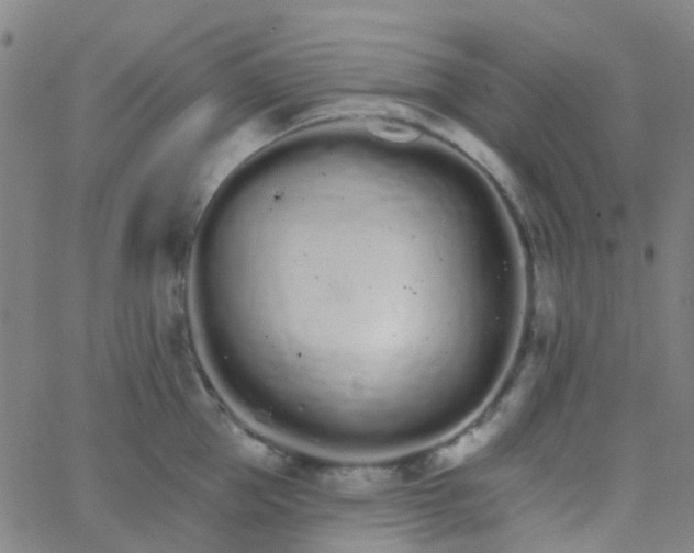 X0000062840953200601272013