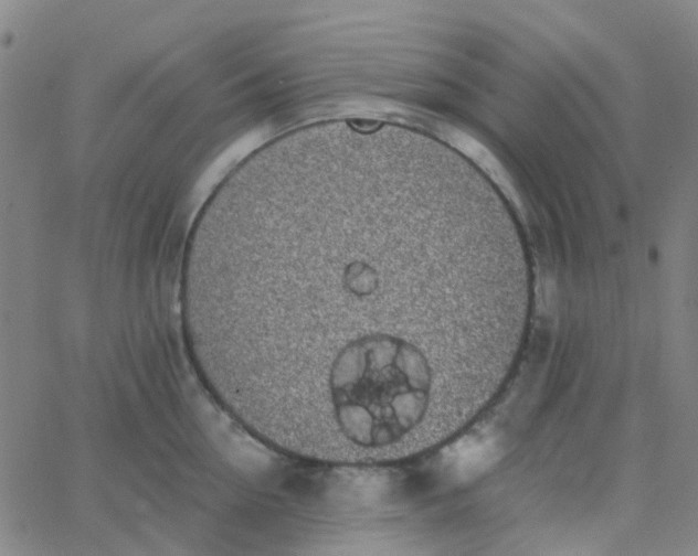 X0000062840954200601272013