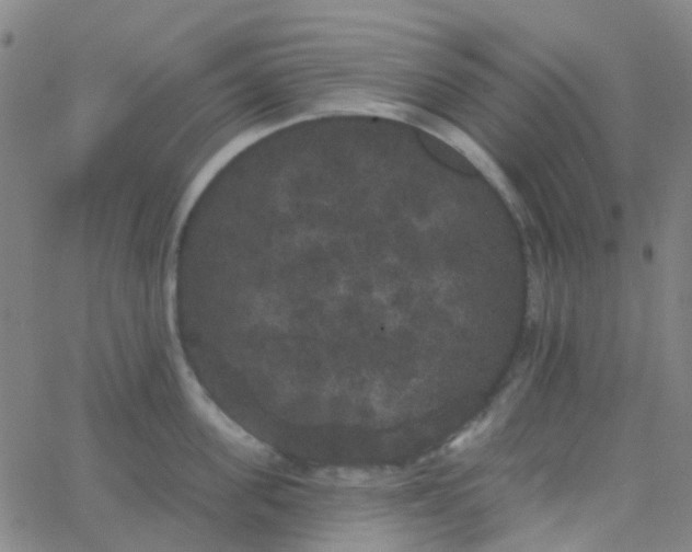 X0000062840955200601272013